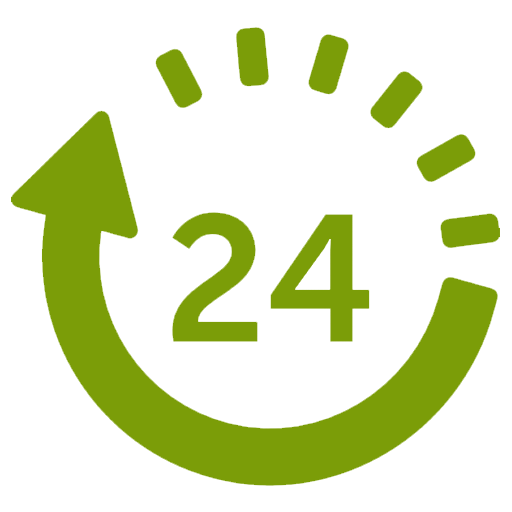 24 horas